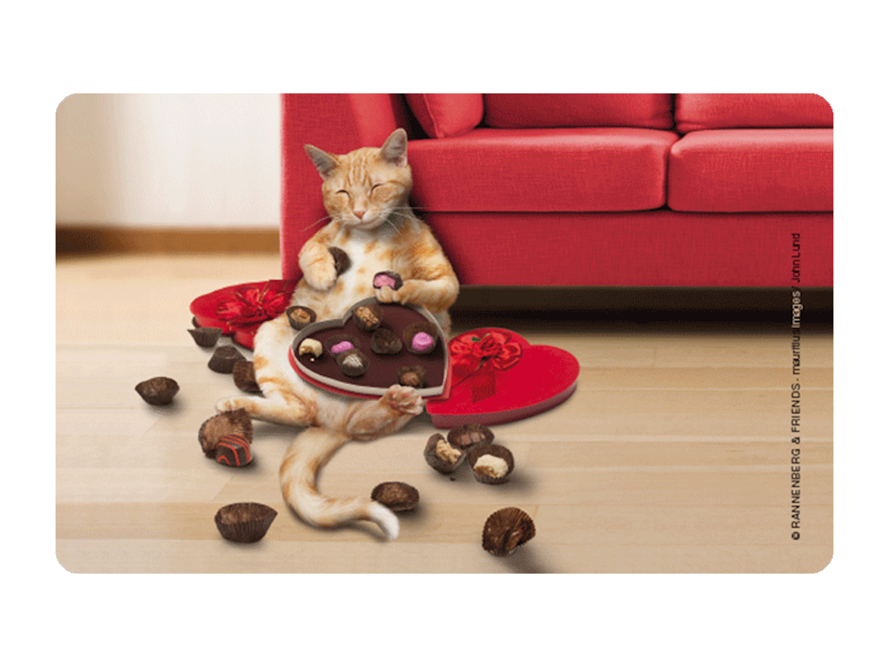 Bild von Frühstücksbrettchen Naschkatze