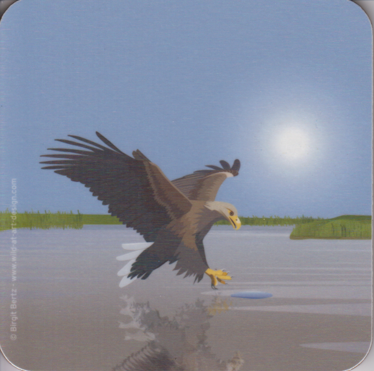 Bild von Wild at Art Coaster - Seeadler