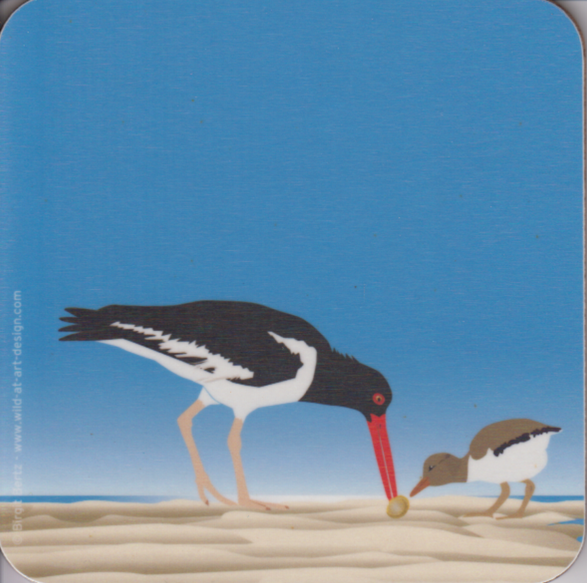 Bild von Wild at Art Coaster - Austernfischer