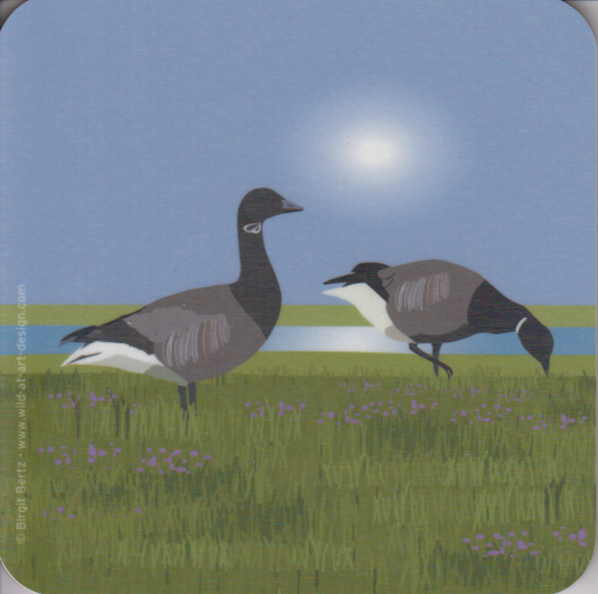 Bild von Wild at Art Coaster - Ringelgans