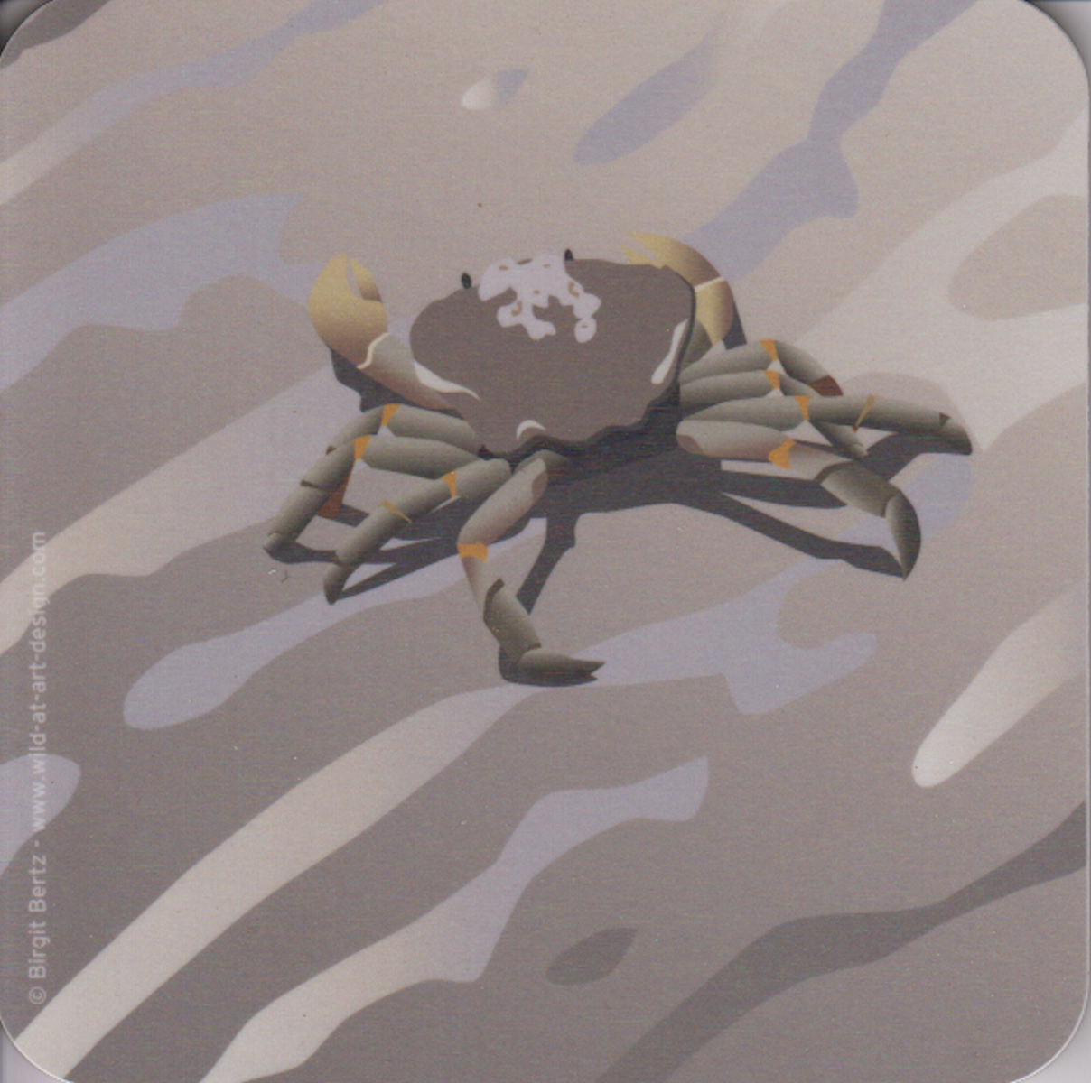 Bild von Wild at Art Coaster - Strandkrabbe