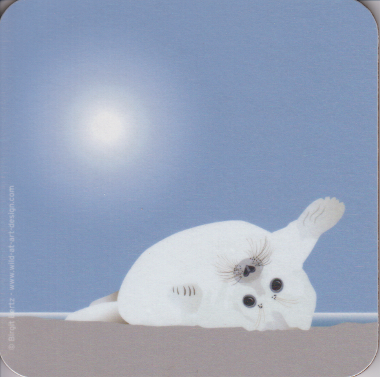 Bild von Wild at Art Coaster - Kegelrobben-Baby