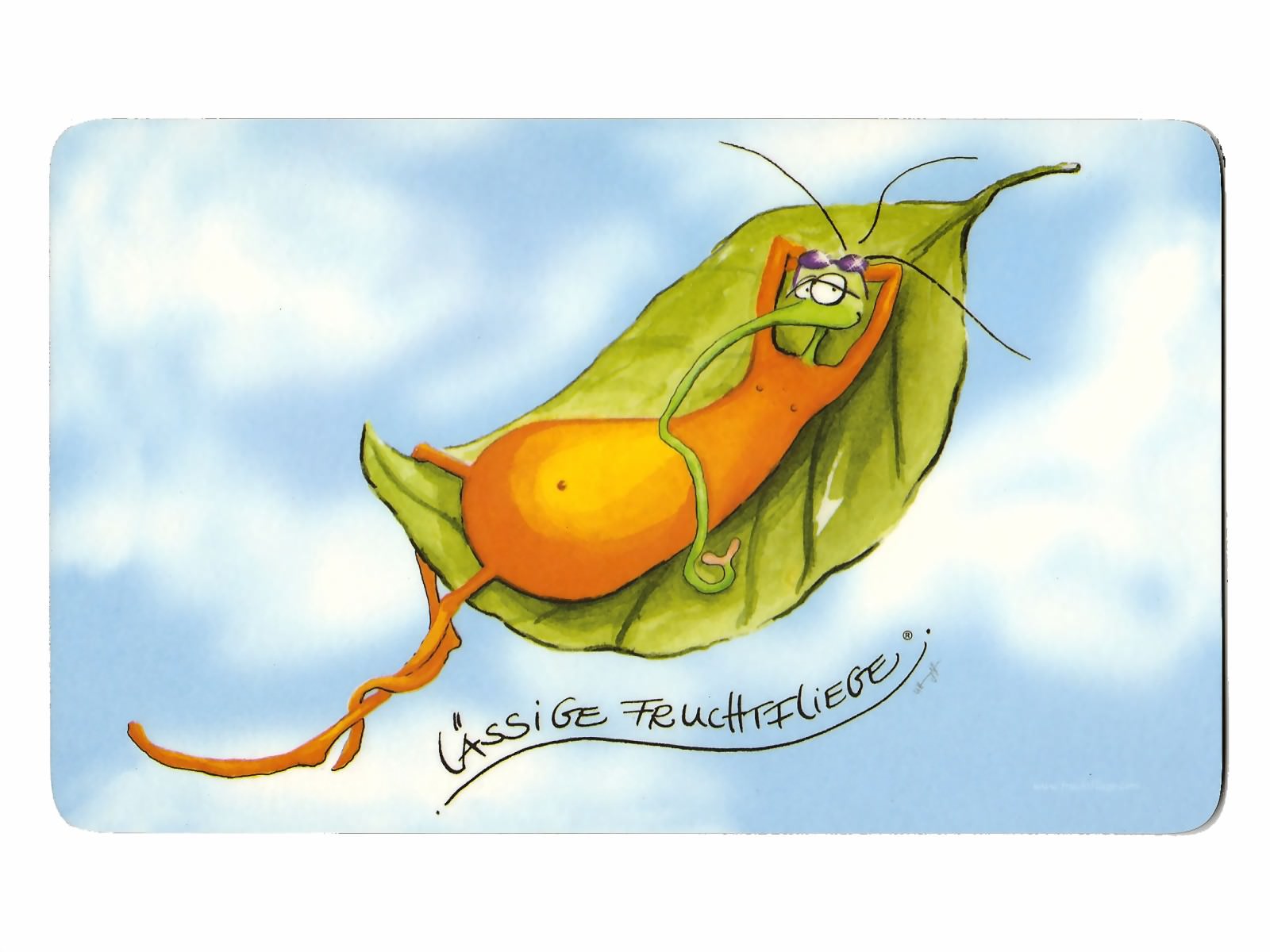 Bild von Frühstücksbrettchen lässige Fruchtfliege