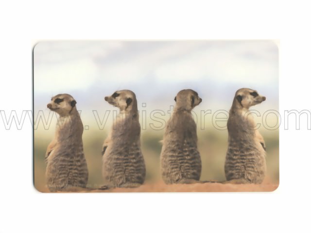 Bild von Frühstücksbrettchen Erdmännchen Quartett