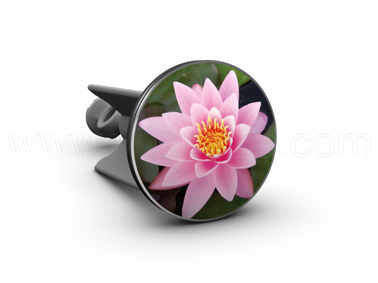 Bild von plopp Stöpsel Lotusblüte rosa